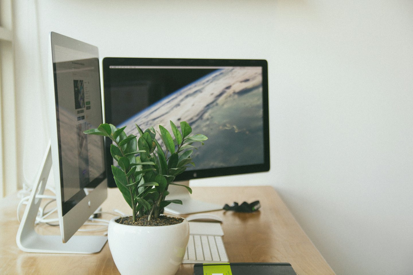 Two computer monitors on a light wood desk with a plant.